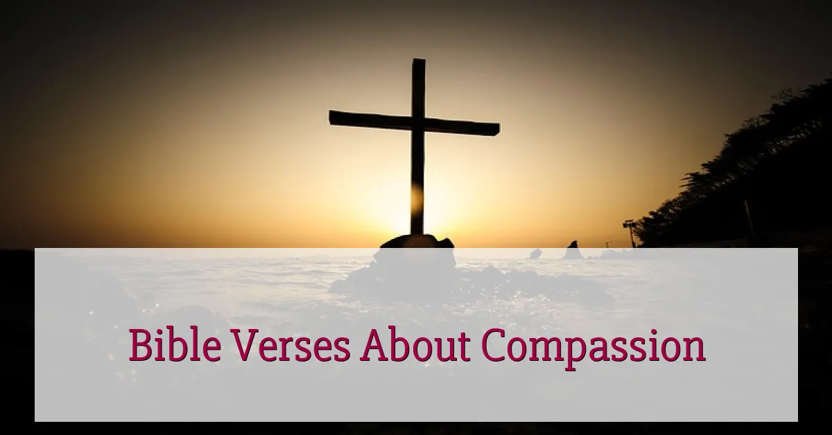 Bible Verses About Compassion