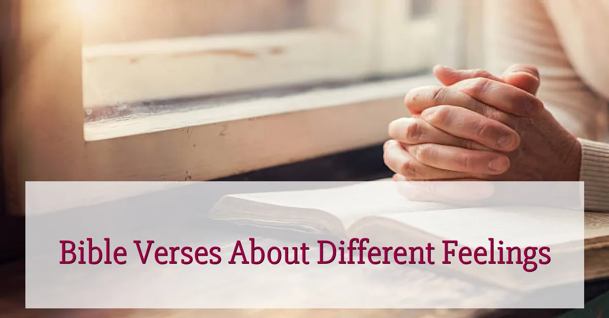 Bible Verses About Different Feelings