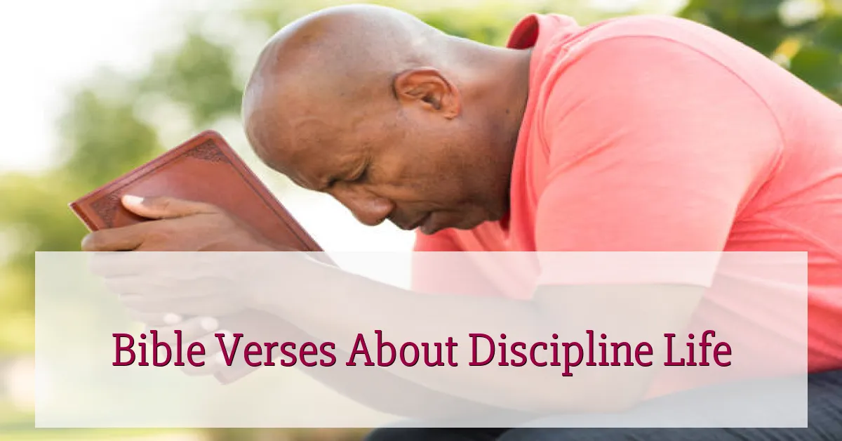 Bible Verses About Discipline Life