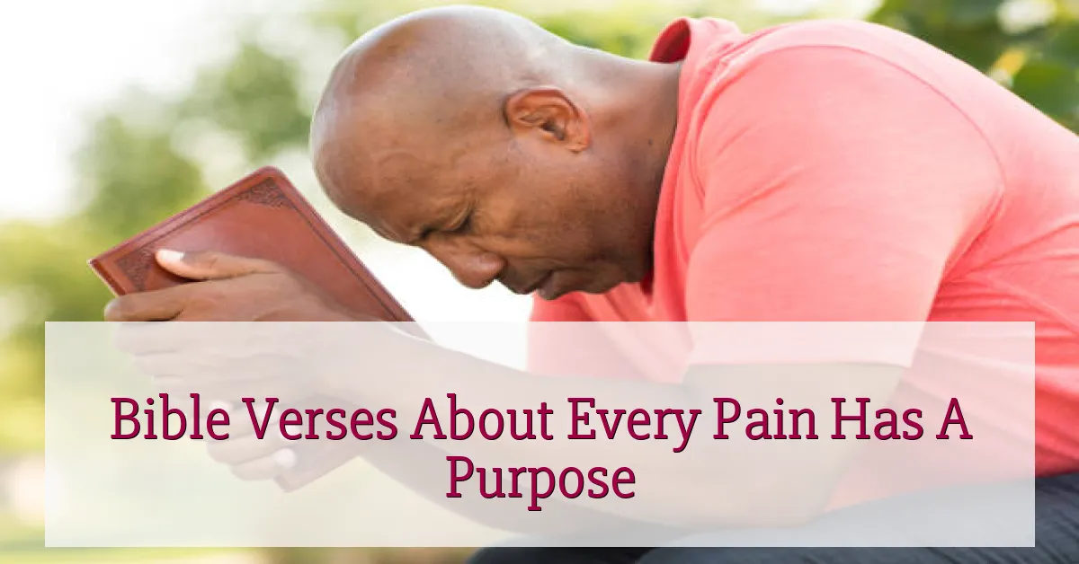 Bible Verses About Every Pain Has A Purpose