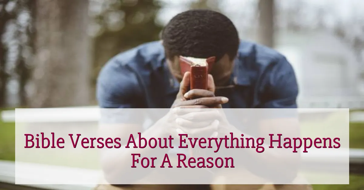 Bible Verses About Everything Happens For A Reason