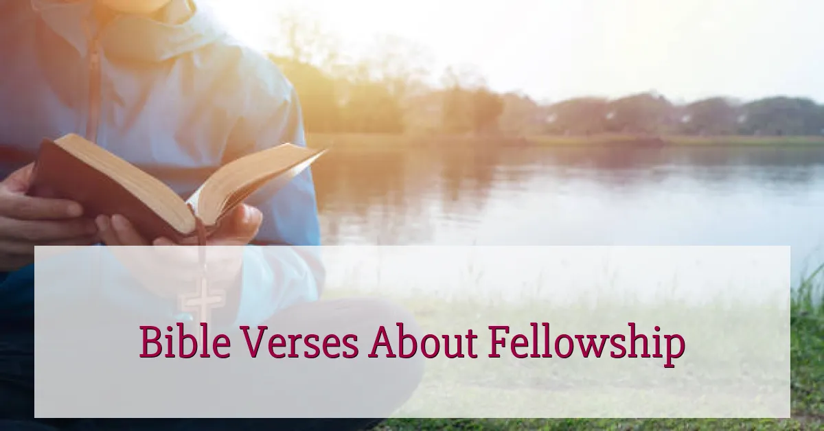 Bible Verses About Fellowship
