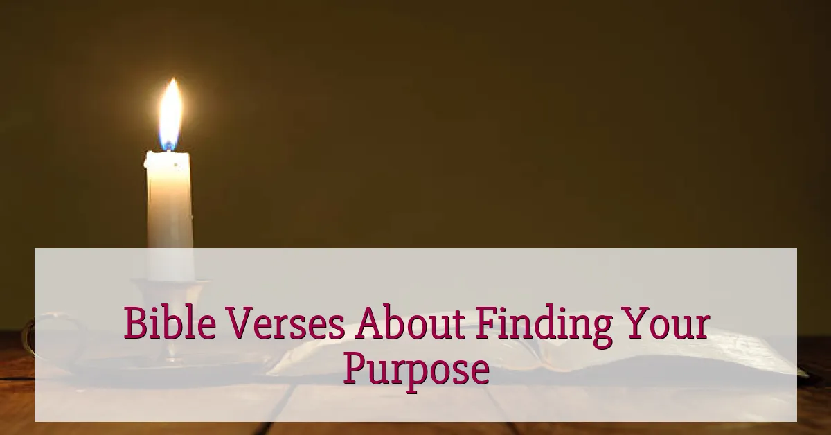 Bible Verses About Finding Your Purpose