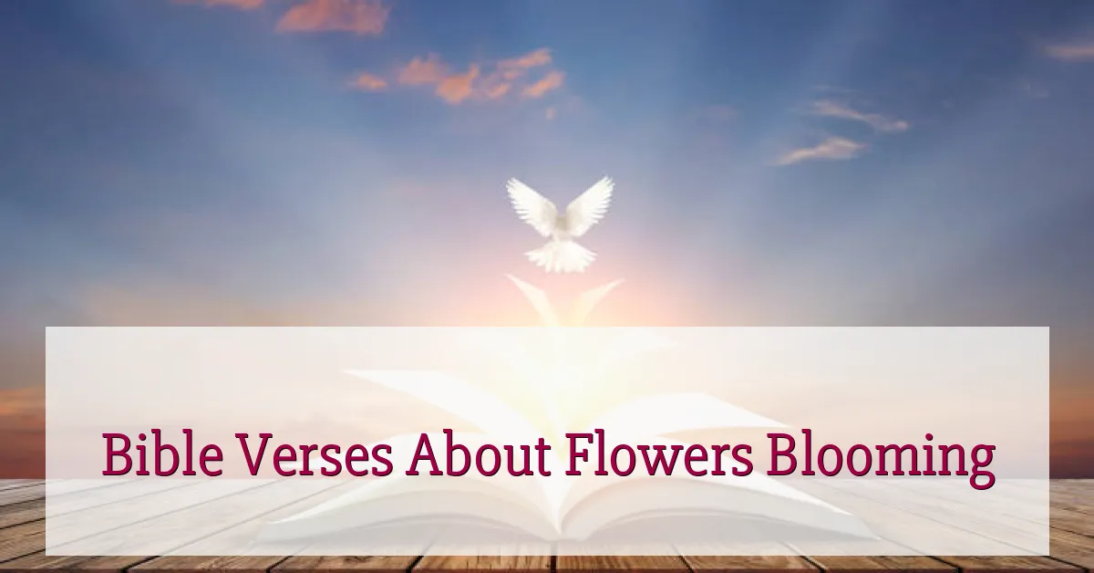 Bible Verses About Flowers Blooming