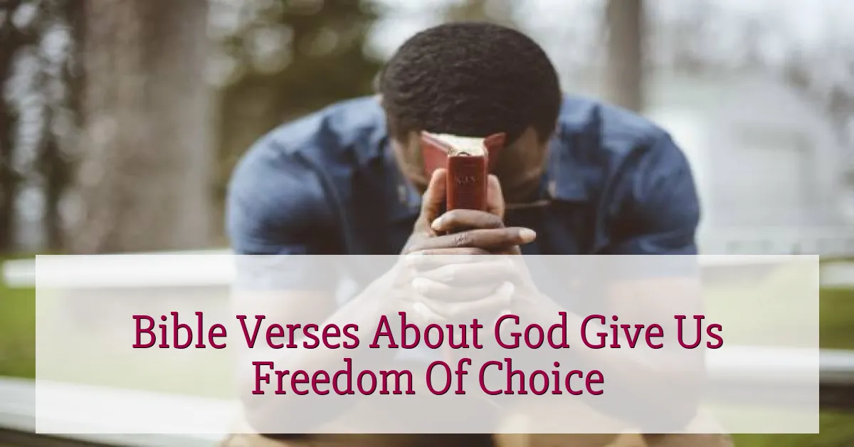 Bible Verses About God Give Us Freedom Of Choice