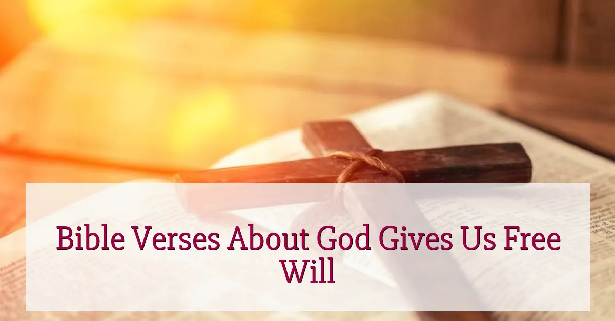 Bible Verses About God Gives Us Free Will