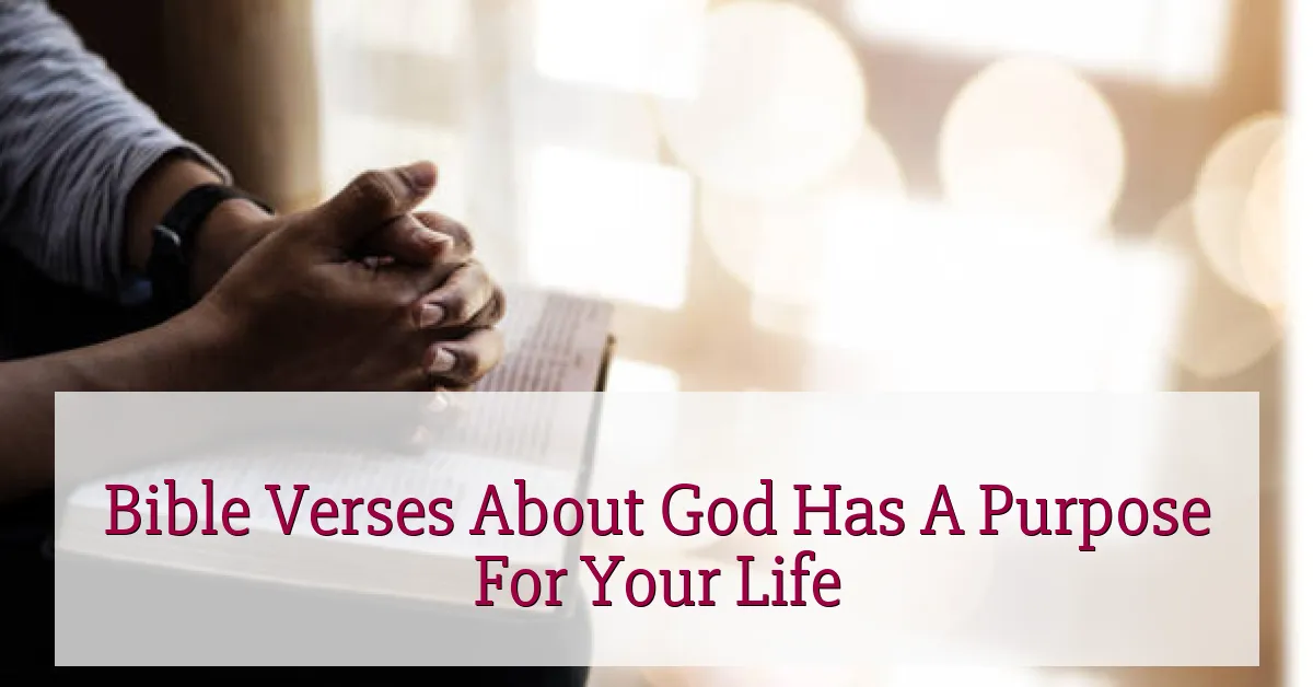 Bible Verses About God Has A Purpose For Your Life