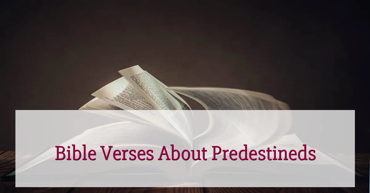 Bible Verses About Predestineds