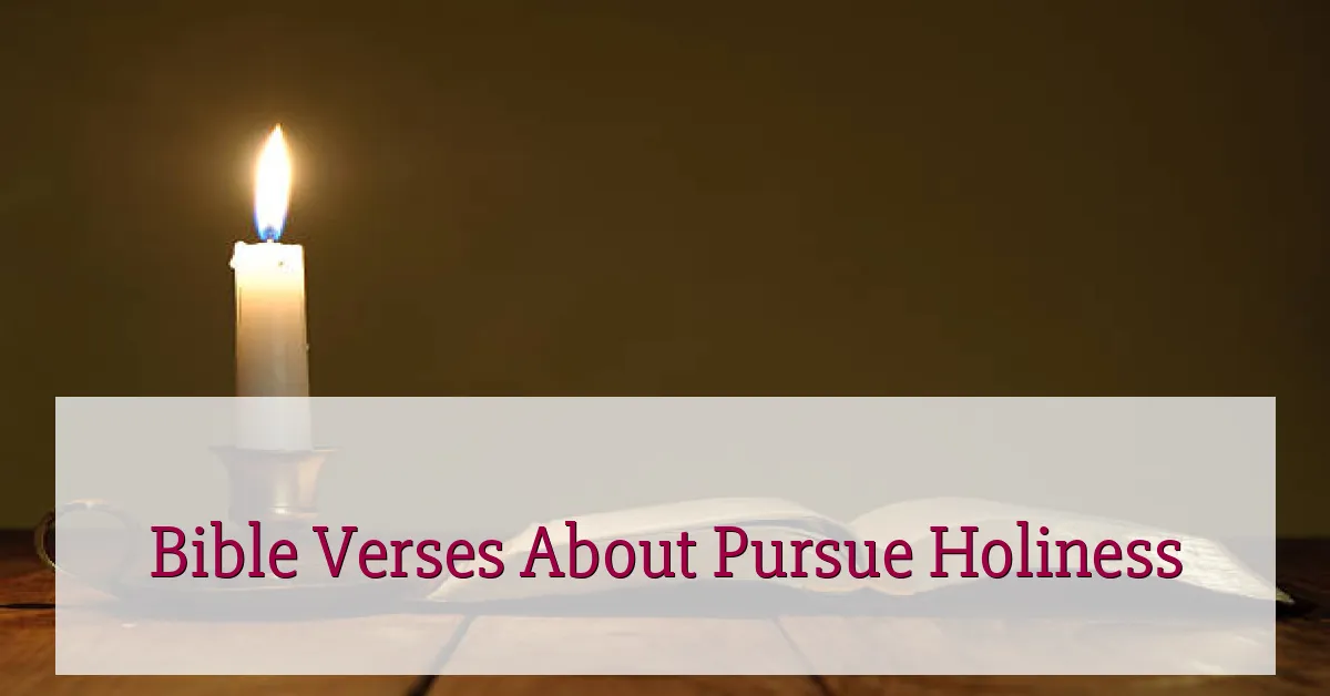 Bible Verses About Pursue Holiness