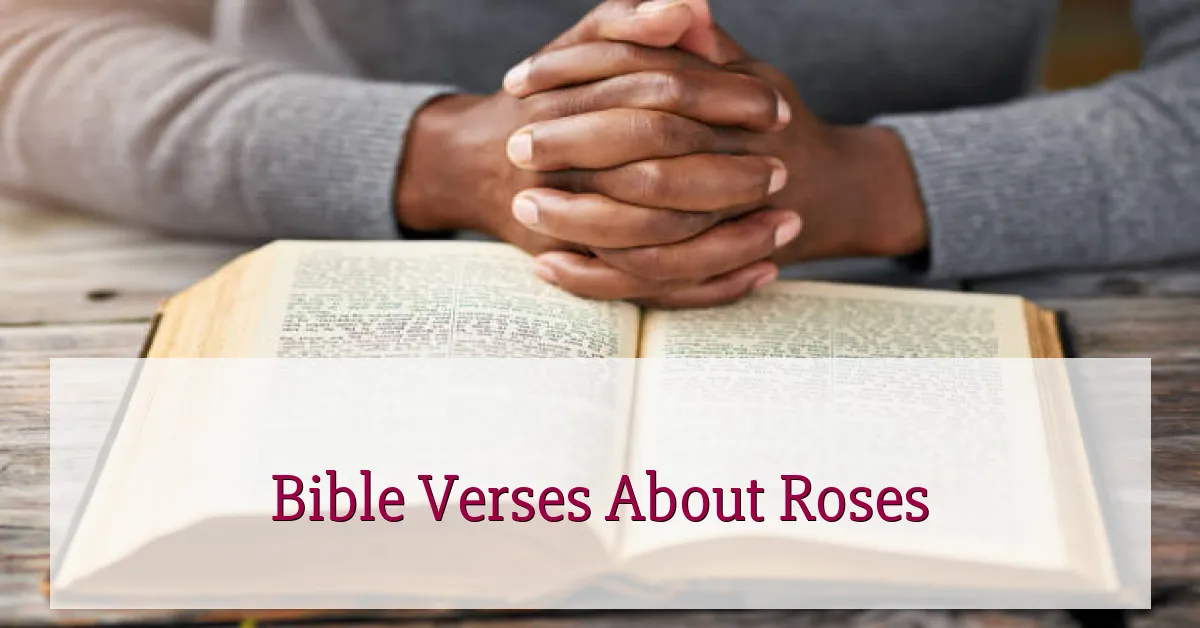 Bible Verses About Roses