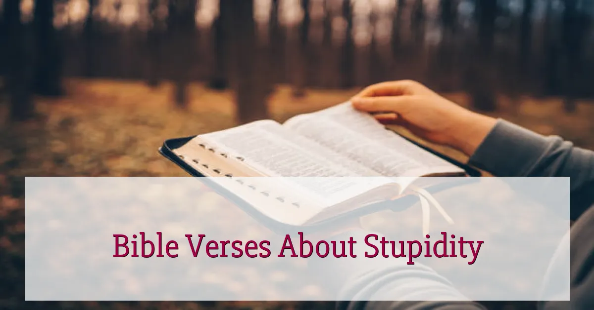 Bible Verses About Stupidity