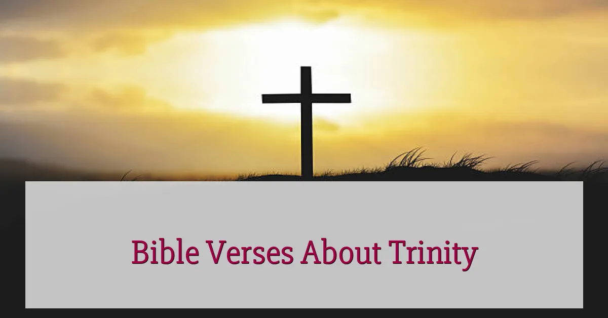 Bible Verses About Trinity
