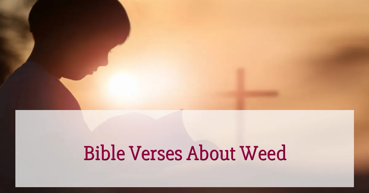 Bible Verses About Weed