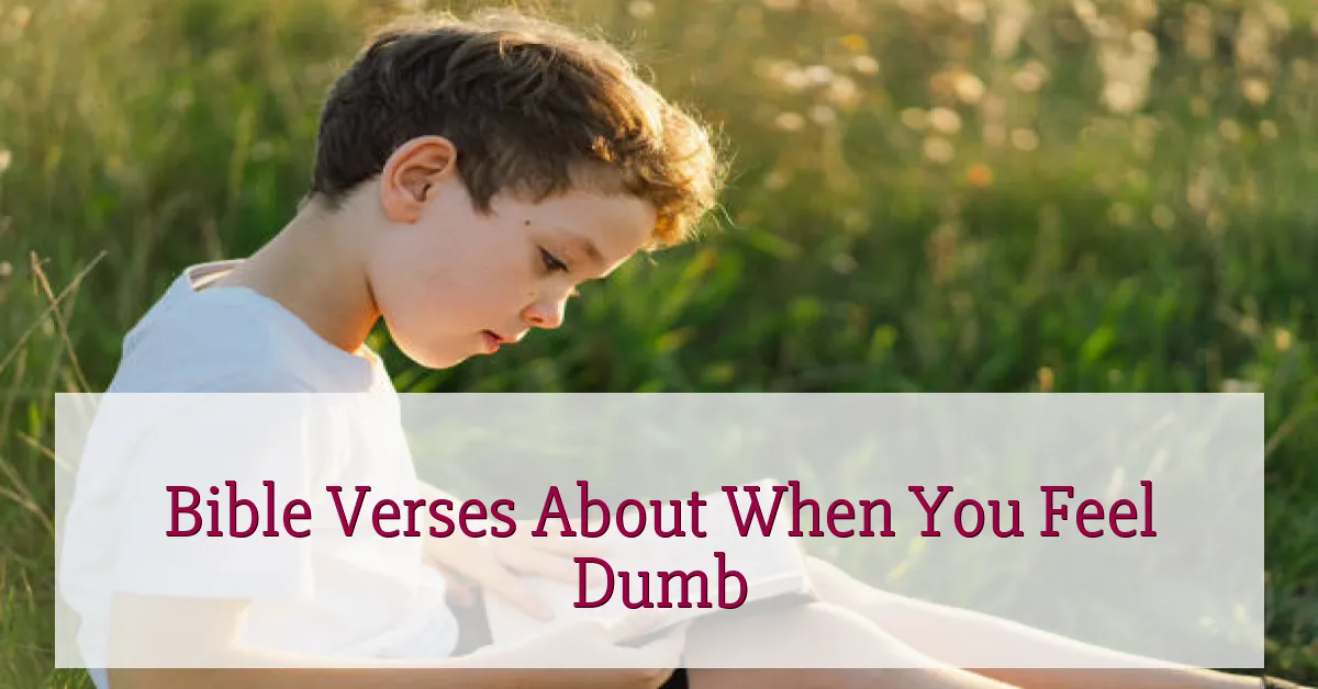 Bible Verses About When You Feel Dumb